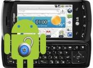 LG-Ally-VS740