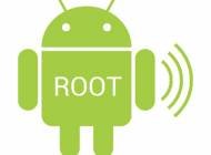 root-transmission