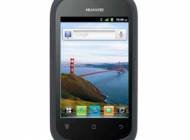Huawei-Ascend-Y-H866C
